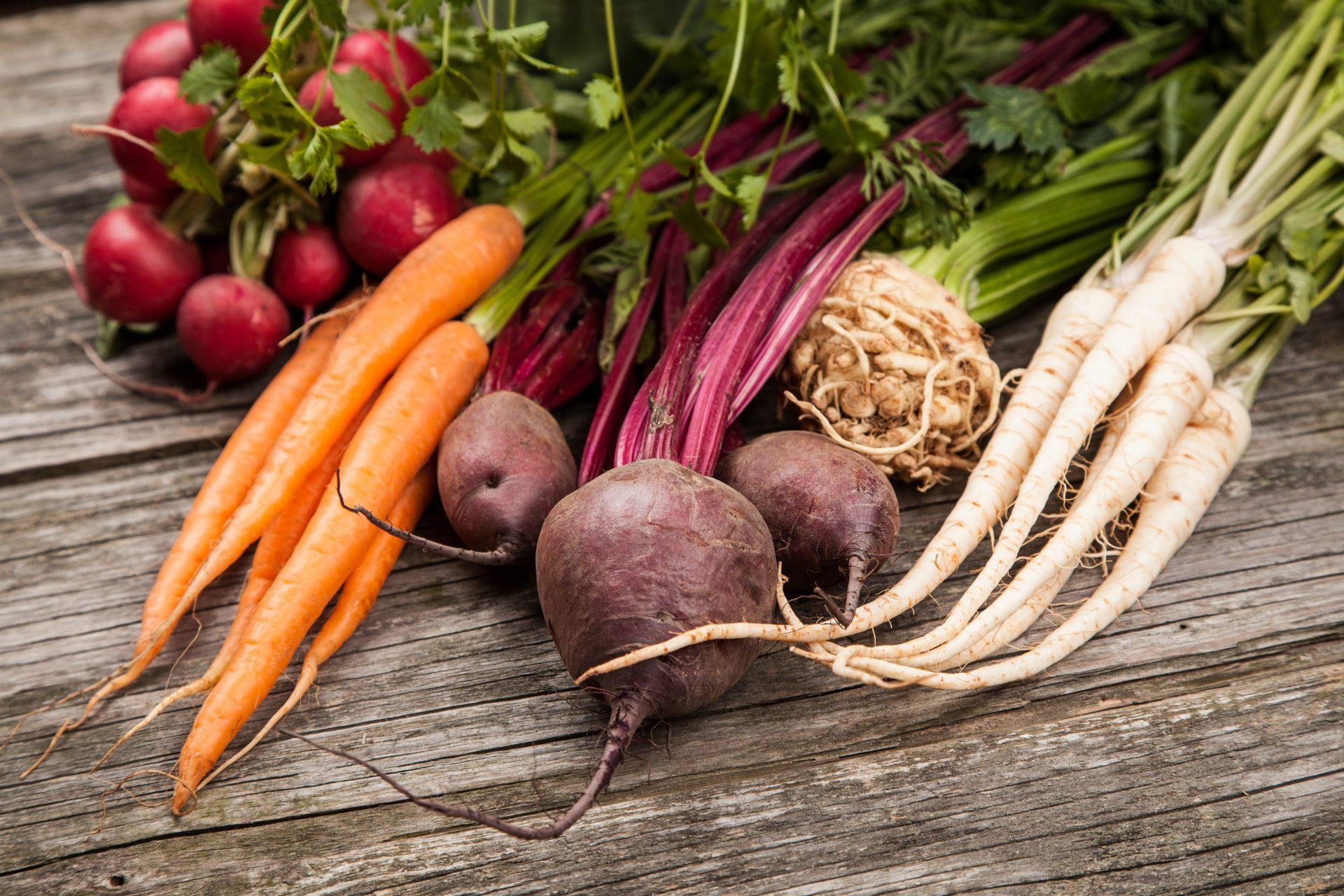 Warzywa korzeniowe i ich wykorzystanie w diecie cukrzycowej